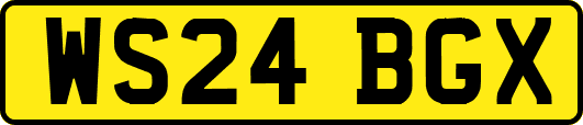 WS24BGX