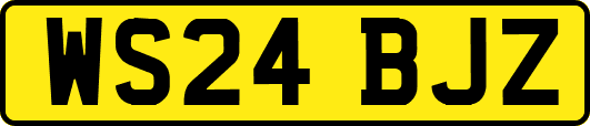 WS24BJZ