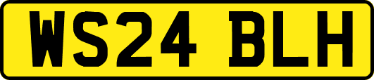 WS24BLH