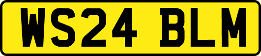 WS24BLM