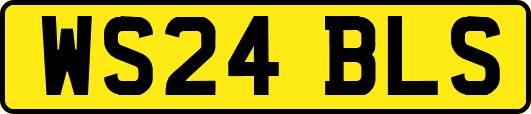 WS24BLS