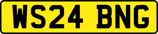 WS24BNG