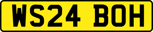 WS24BOH