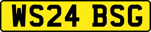 WS24BSG