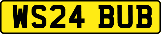 WS24BUB