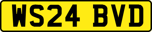 WS24BVD