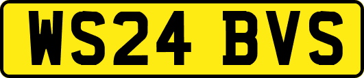 WS24BVS