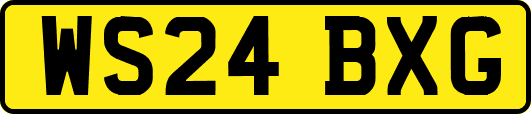 WS24BXG