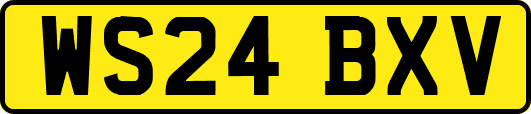 WS24BXV