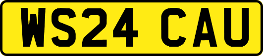 WS24CAU