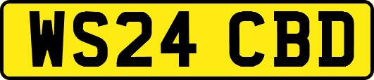 WS24CBD