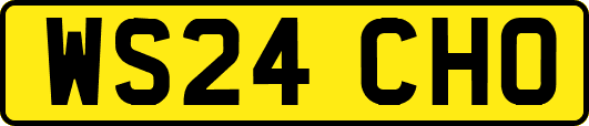 WS24CHO