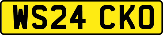 WS24CKO