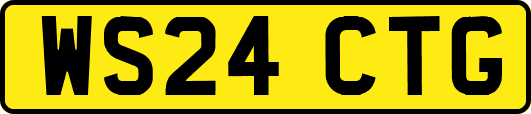 WS24CTG