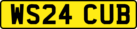 WS24CUB