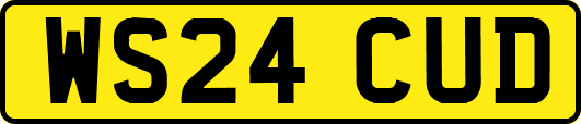 WS24CUD