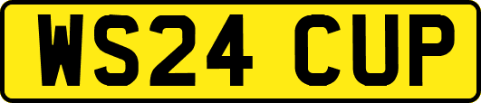 WS24CUP