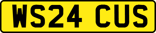 WS24CUS