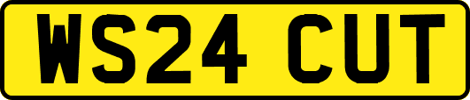 WS24CUT