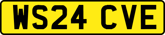 WS24CVE