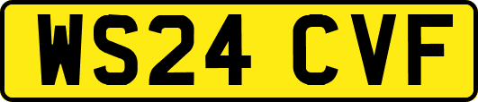 WS24CVF