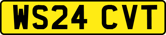 WS24CVT