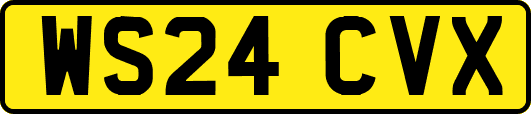 WS24CVX