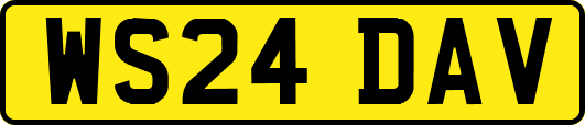 WS24DAV