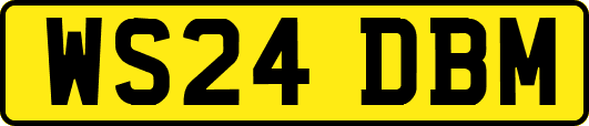 WS24DBM