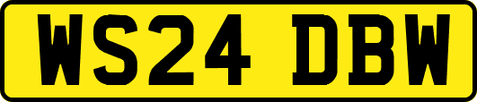 WS24DBW