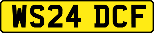 WS24DCF
