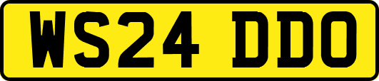 WS24DDO