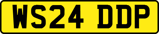 WS24DDP