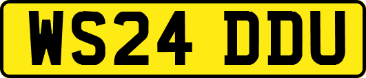 WS24DDU
