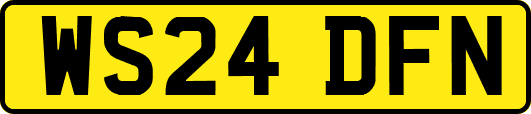 WS24DFN