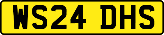 WS24DHS