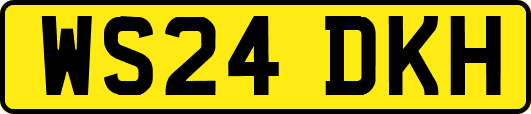 WS24DKH