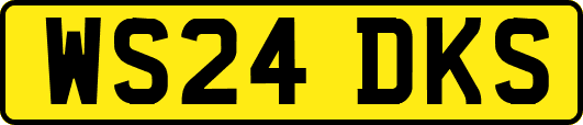 WS24DKS