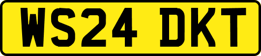 WS24DKT