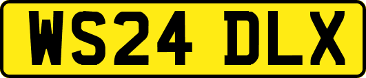 WS24DLX