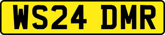 WS24DMR