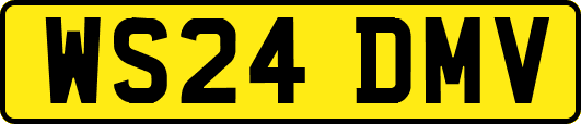 WS24DMV