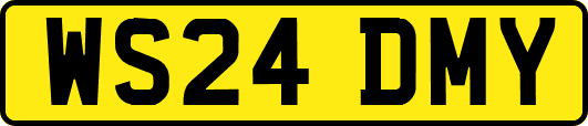 WS24DMY