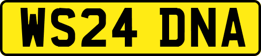 WS24DNA