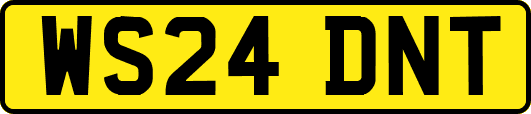 WS24DNT