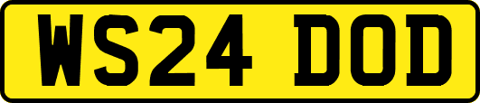 WS24DOD