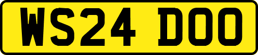 WS24DOO