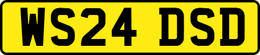 WS24DSD