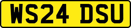 WS24DSU
