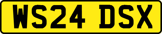 WS24DSX